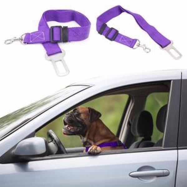 Sigurnosni auto-pojas za pse i mačke