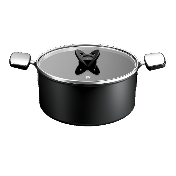 TEFAL ŠERPA SA POKLOPCEM 24cm G3284653 EXCELLENCE