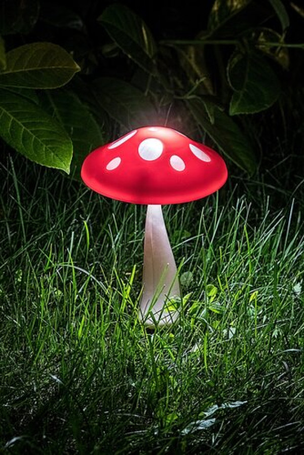 https://www.unashop.net/images/products/big/86565.jpg