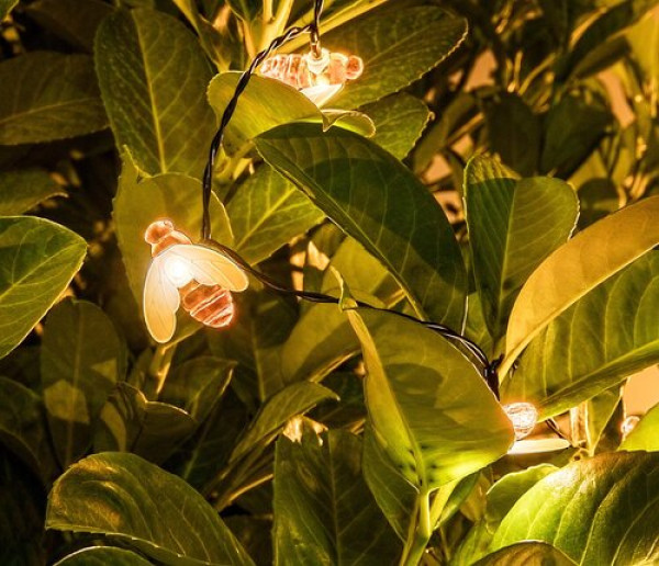 https://www.unashop.net/images/products/big/86656.jpg