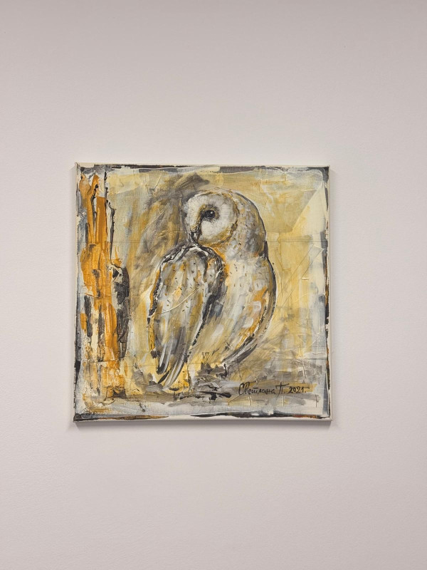 Umetnička slika-Mudra sova 40x40